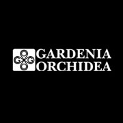 gardenia-orchidea-ceramica